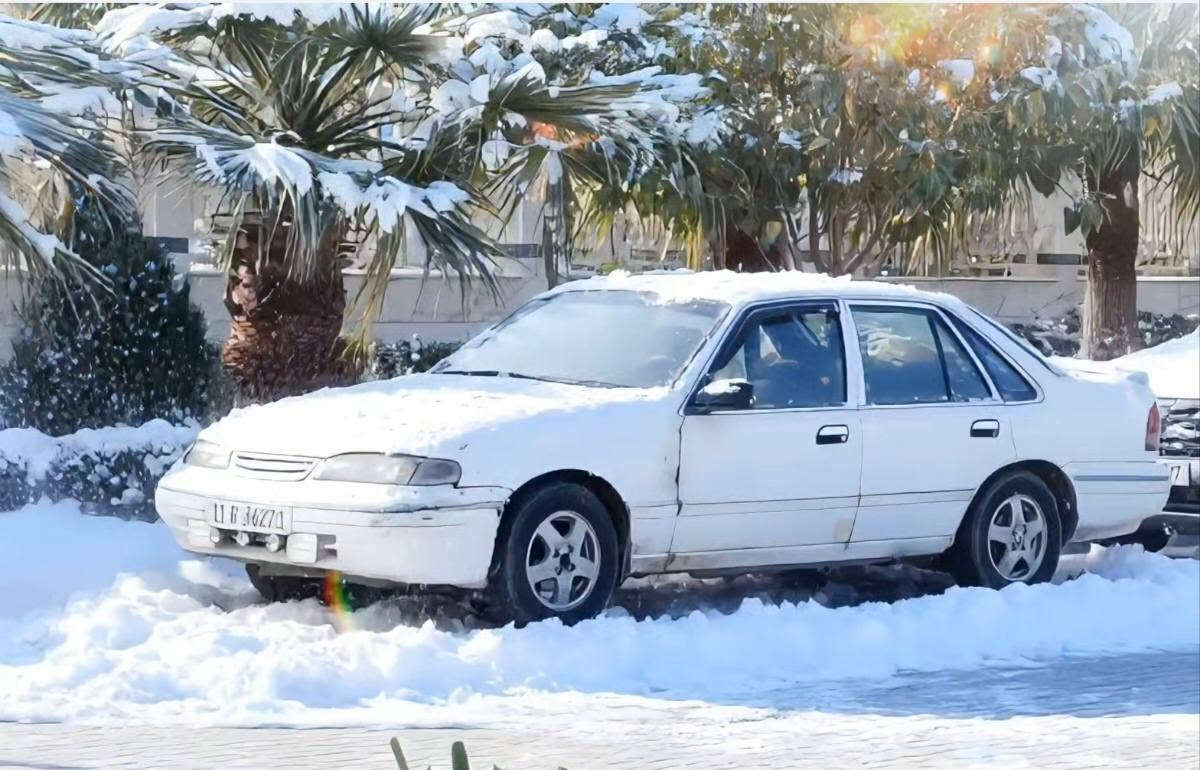 برنس فراشة موديل 96 للبيع سياره كامله ماناقصها شي محرك وكيرر مكفولات تبريد ثلج ويا السويج كبير أوتو غرفه نضيفه وجاهزه بيها ملاحظات بسيطه السعر 40 وبيها مجال حك الجايه
***********
***********
