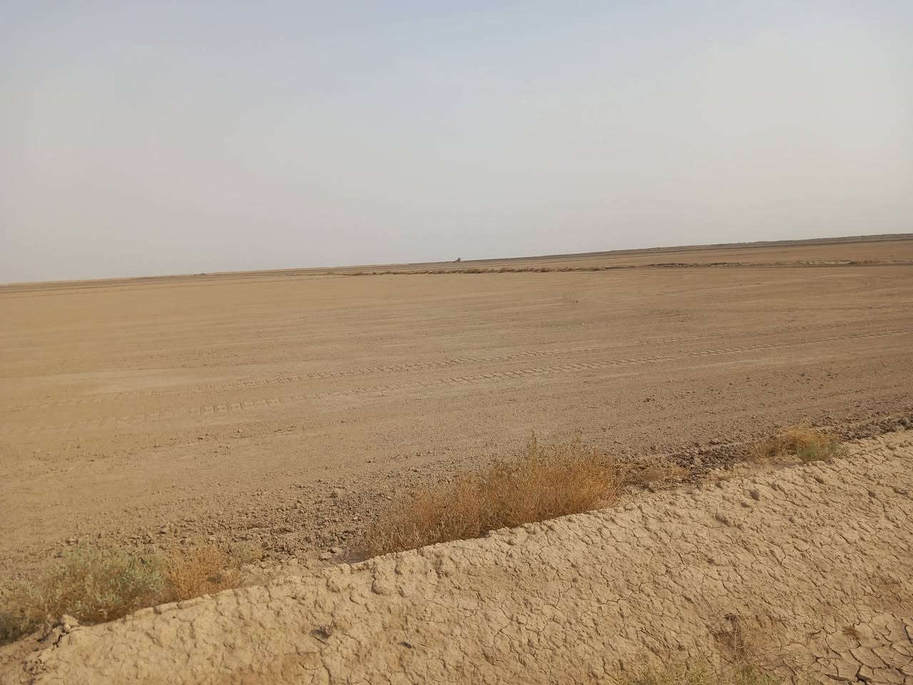 أرض زراعية • ١٠٠٠ دونم • الكوت طريق بدره