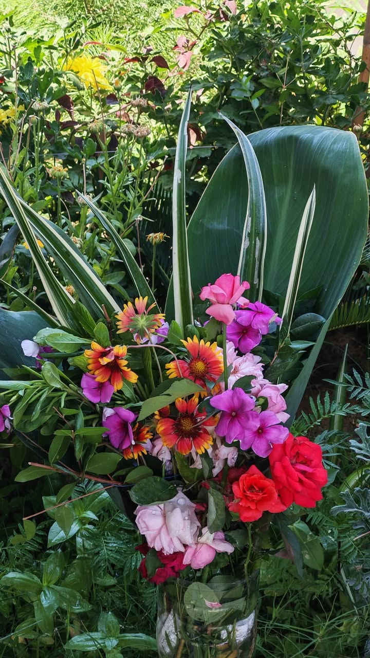 اسعد الله ايامكم بحلول ربيع الاول 💐
متوفر باقات زهور طبيعية لجميع المناسبات
          🌸🌺🌻🌹🌷🌼💐
بعدة انواع وتشكيلات جميلة وحسب الطلب وكما موضح  وهذه الصور حقيقية💐
لمزيد من التفاصيل مراسلة الصفحة او التواصل مباشر
*********** ✅
#دیالی #بعقوبة #المقدادية #نباتات #حديقة #ورد
