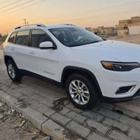 شيروكي بزون • ٢٠١٩ • وارد امريكي