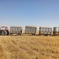 تبن حنطه • درجة اولى • واصلة للبيت