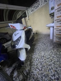 سكنس فحل • ياباني • نفخ