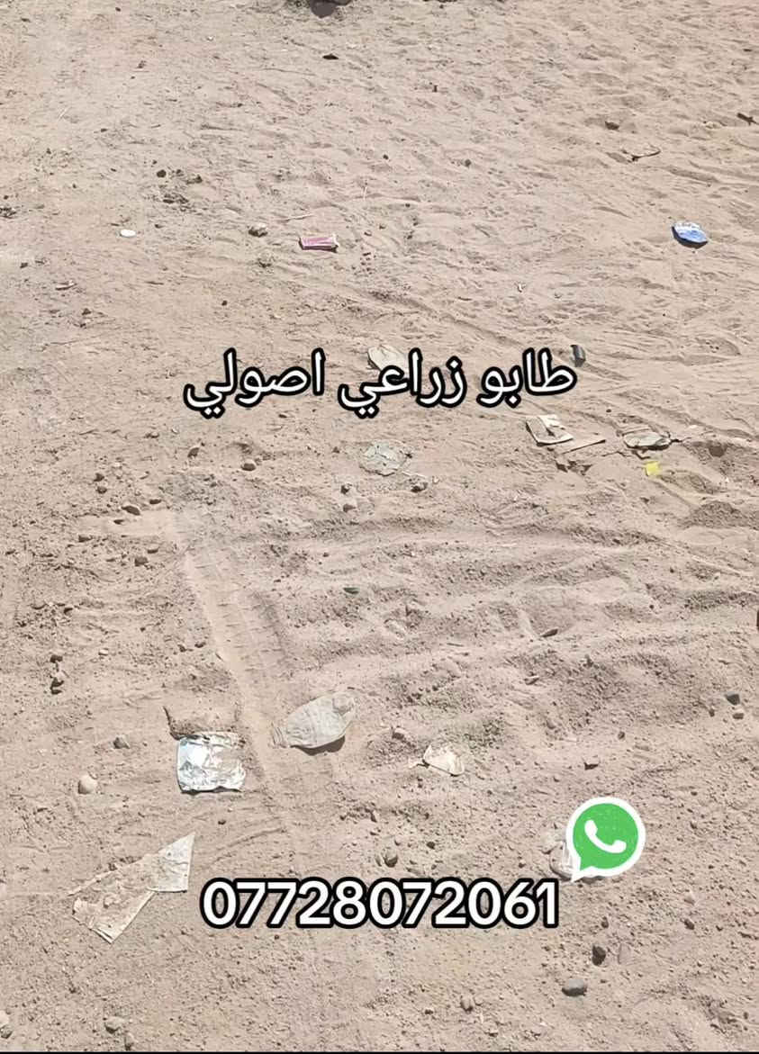 قطعه ارض للبيع 

طابو زراعي بأسم عراقي
(نسخه + وكاله)

#المساحه : 200M²

#الموقع:' 

البصره ابي الخصيب ابو كوصره

#السعر": 
30 مليون وبيهة مجال بسيط

جميع الخدمات متوفره
صاحب الارض عراقي حي يرزق
#باقي_التفاصيل
***********
