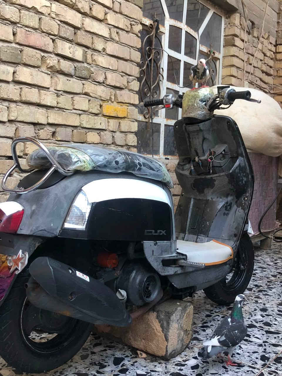 سلام عليكم 
دراجه ماكس بليسي مفتوحه للبيع دراجه جهازه كلها شغاله سعر ٥٠٠ وبيها مجال قليل مكاني ناصريه مركز 
***********

