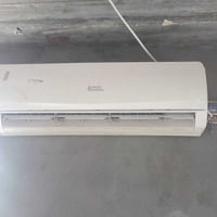سبلت • شغال • ابو طنين