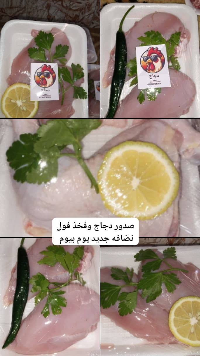 دجاج يوم بيوم • مقطع/كامل/نص • بدون تبريد