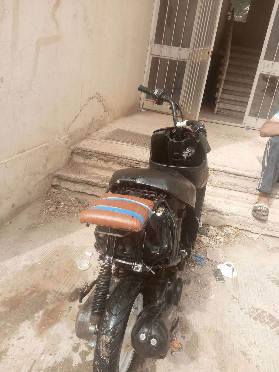 بطه • نص عمر • خدميه
