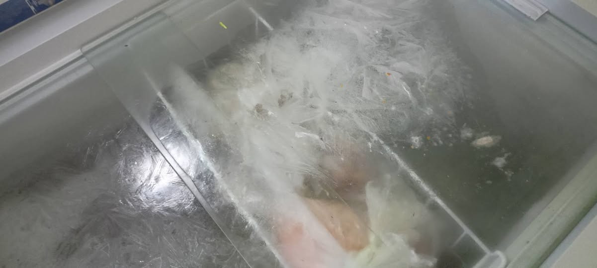 مجمدة رويال 14قدم جديدة وبسعر مناسب.بصرة ***********
