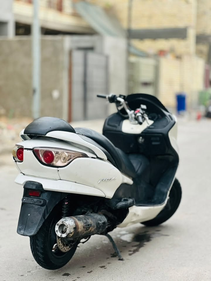 فورزة • ٢٠٠٨ • مكفولة