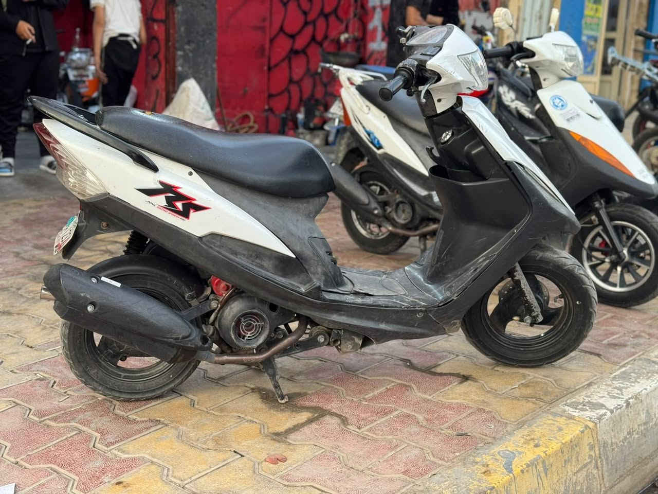 ماكس عدله • ٥٥ مزود • ثعلب مامفتوح