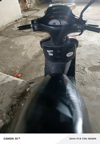 فراشه فحل • نضيفه • مفتوحه