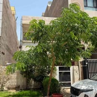 شارع فلسطين • ١٥٠م • واجهه ٦م