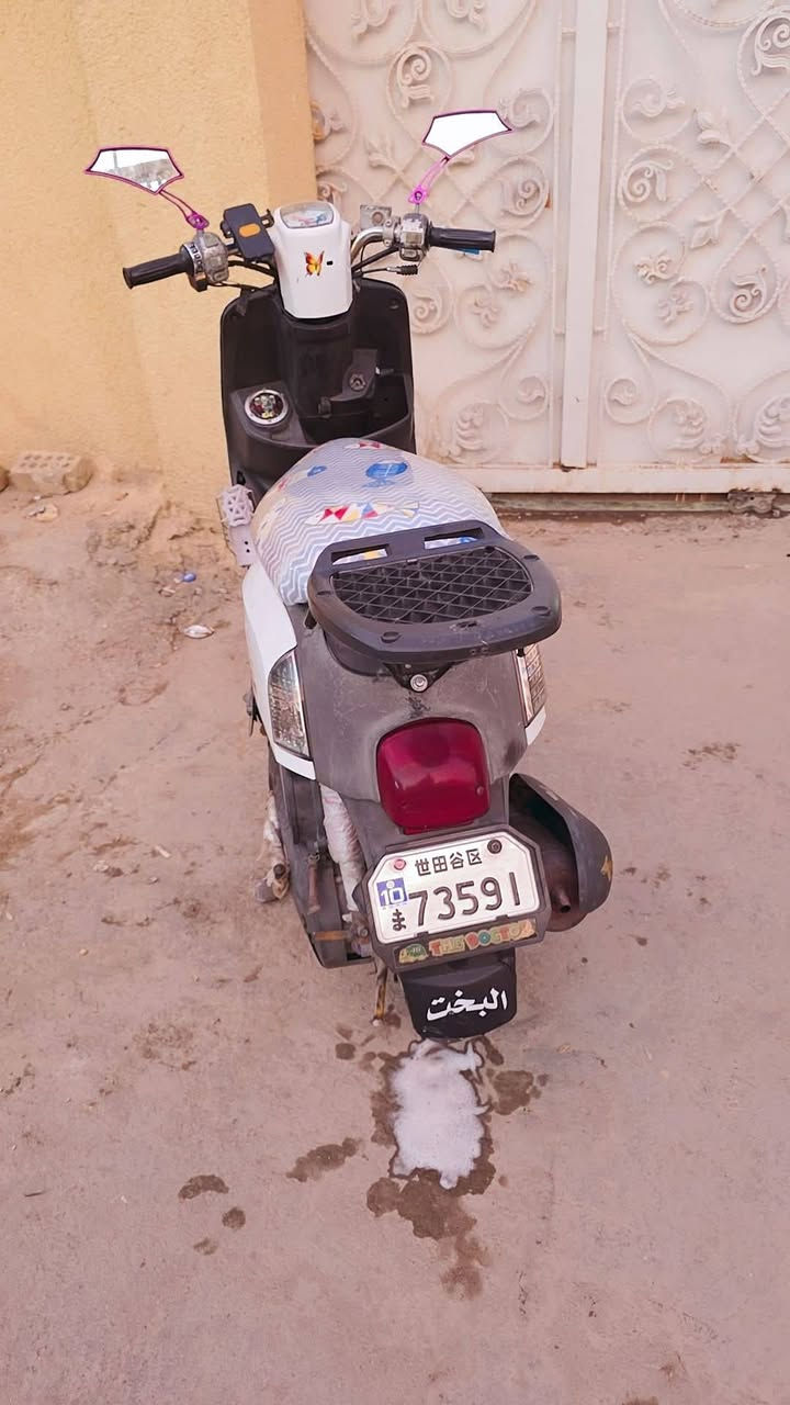 بوليص • مكفوله • جديده