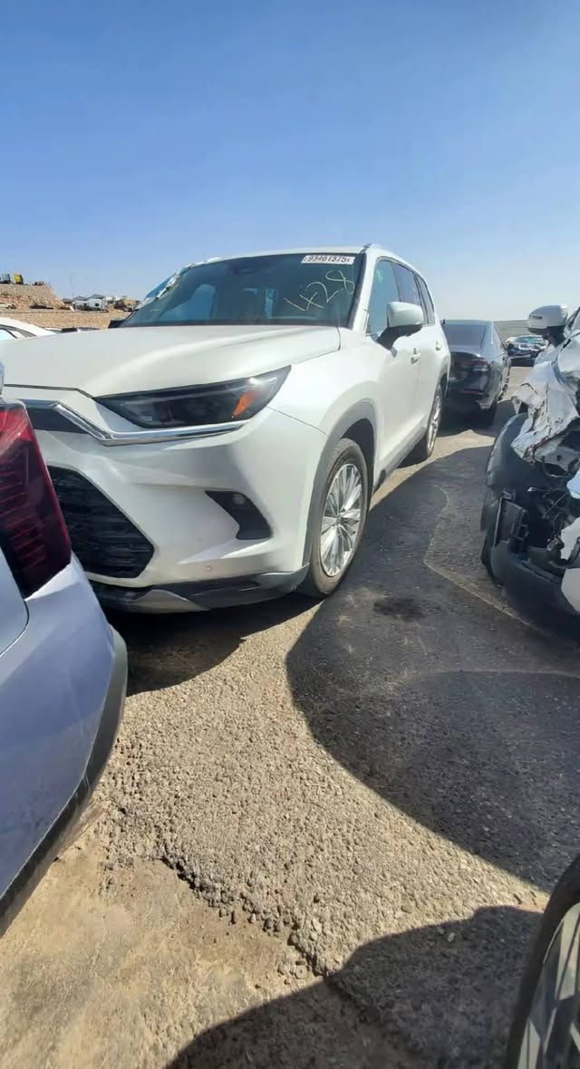 بلاتينيوم • ٢٠٢٤ • بنزين