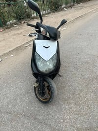 سكنس فحل • نوزل خطين • معدل