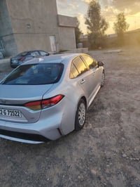 كورلا • ٢٠٢٠ • رقم أربيل