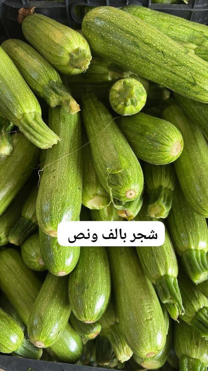 فواكه وخضروات • توصيل يومي • خانقين امام عباس