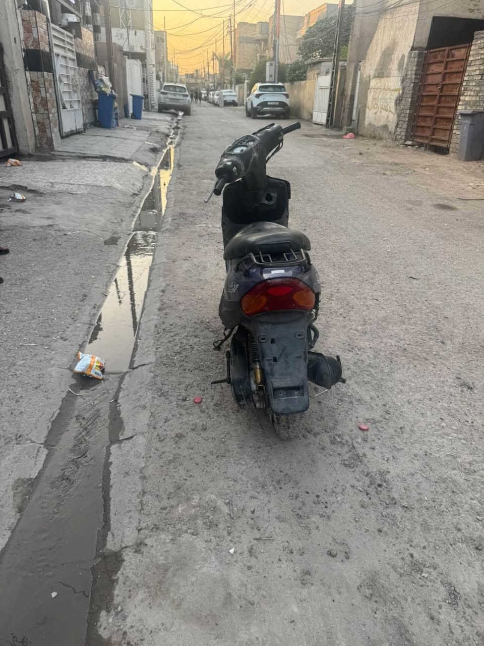 بيجي • شغالة • بغدد المشتل