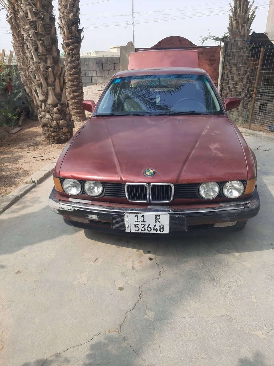 موديل ٩١ • ما بيها صبغ • مكفولة