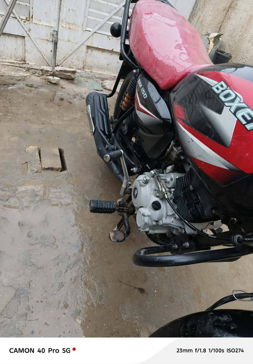بوكسر موديل 23 اوراق اصولي دراجه جديده مامتعوبه نكره سلف مكلف ب النشر شراي اتصل على صاحب الدراجه *********** او راسلني سعرها 850 وبي مجال بسيط فدوه المايعرف اسعارهن لا ينطي سعر بكيفه ...وتحياتي
