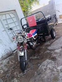 ستوته • ٢٠٢٣ • أوراق
