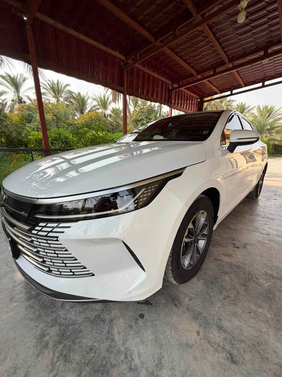 🚘 سيارة BYD 2025 للبيع
سيارة نظيفة وجاهزة للاستخدام، مكفولة كفالة عامة.
📌 رقم سليمانية
📌 السيارة باسمي

📍 المكان: واسط – الصويرة
📞 للاتصال والاستفسار: ***********
