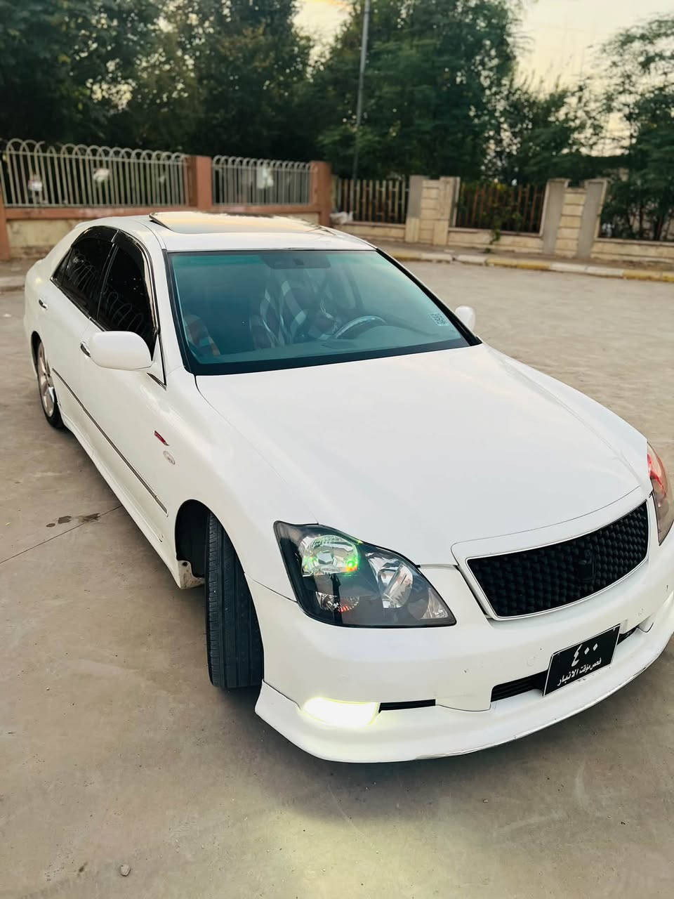 شاهين • ٢٠٠٨ • زينون كامل