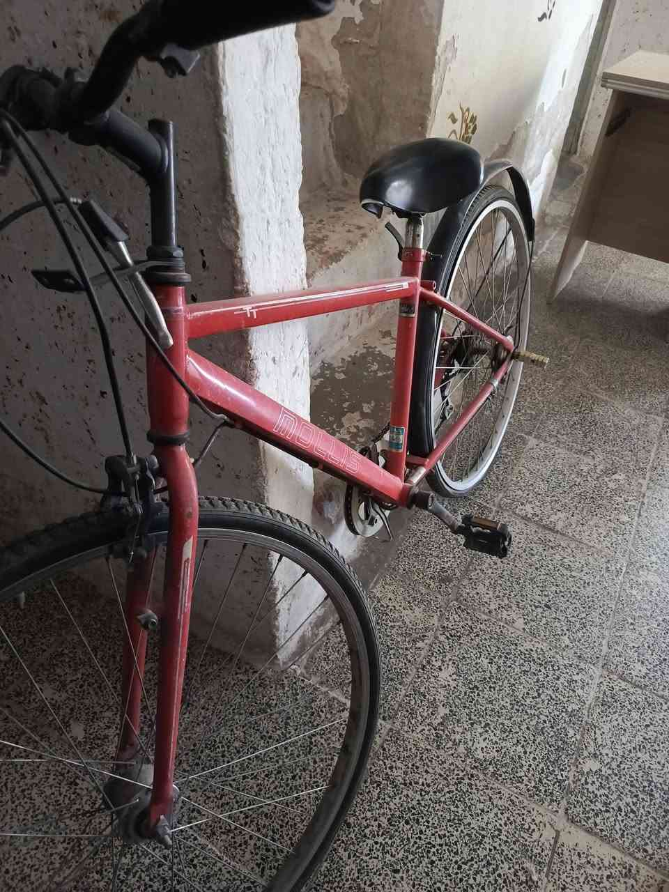سلام عليكم ميز مكتب او ميز دراسة للبيع جديد كلشي ما بي وبايسكل  جديد وعندي كنتور خشب اربع بيبان الله شاهد كلشي ما بي لو ما مفتوح اصورة بس لان انتقلت لغير بيت والبيت صغير واريد ابيعهن الميز

 ***********
