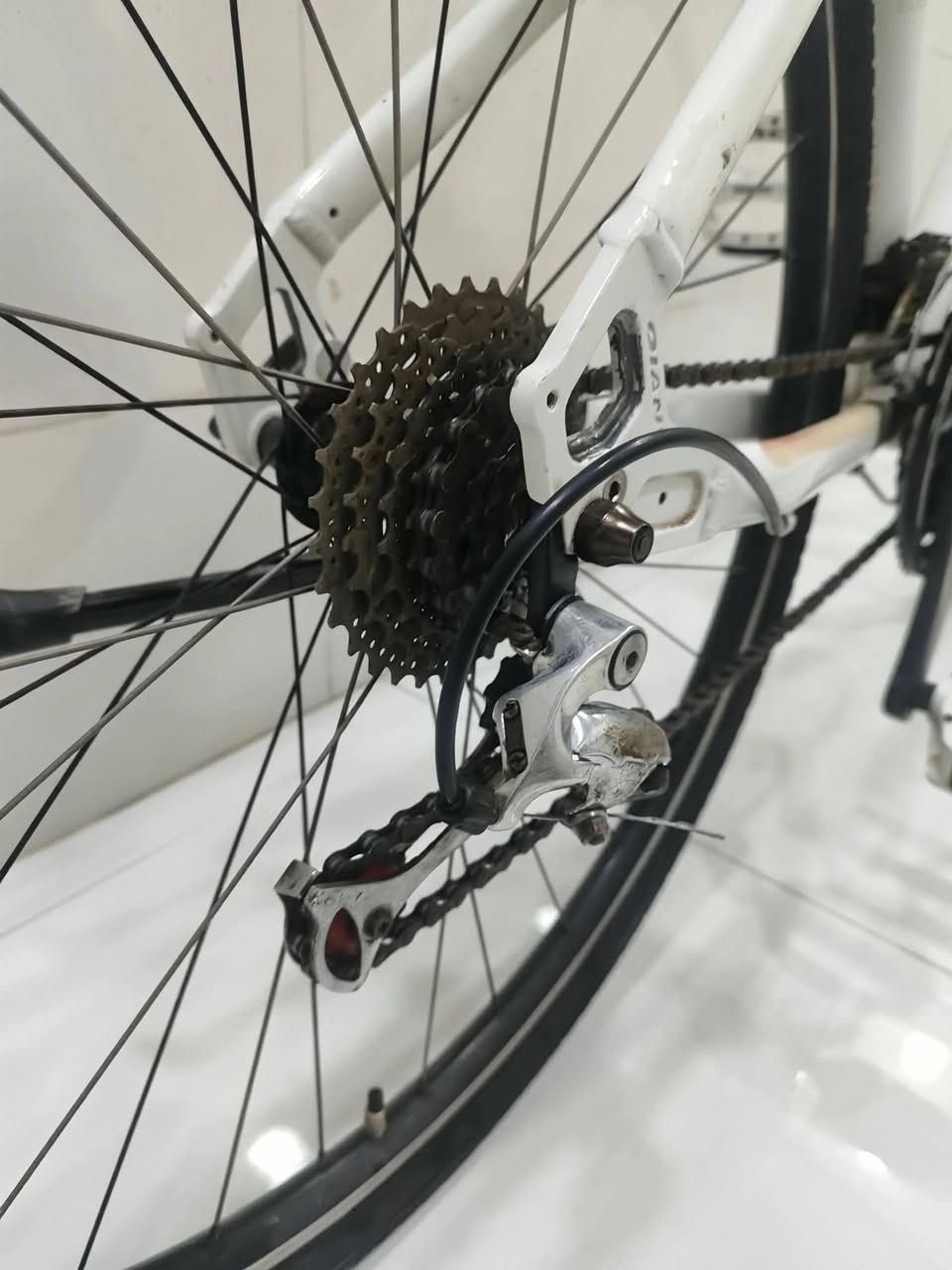 بایسکل حجم 28 رياضي  700C ماركة جاینت معدن المنيوم کیر امامي 3 سرعات کیر خلفي 7 سرعات سستم سرام x3 وزن خفيف السعر 200 الف مكاني كربلاء
واتساب ***********
