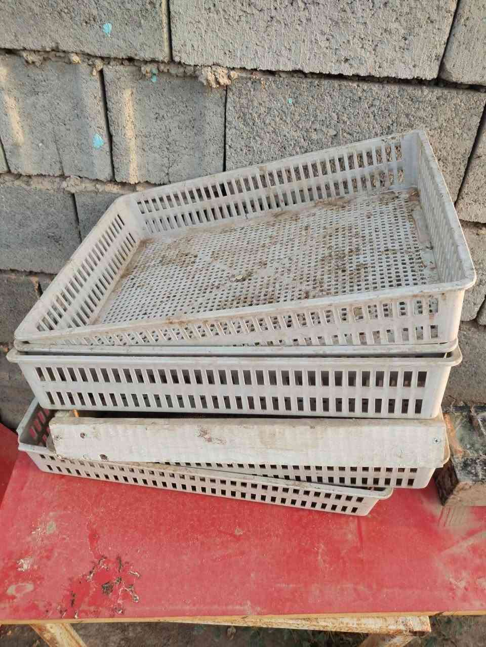 فقاسة بيض • فول اوتوماتيك • ٣٠٠ بيضة