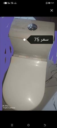 شامية • مفرك • صالحة