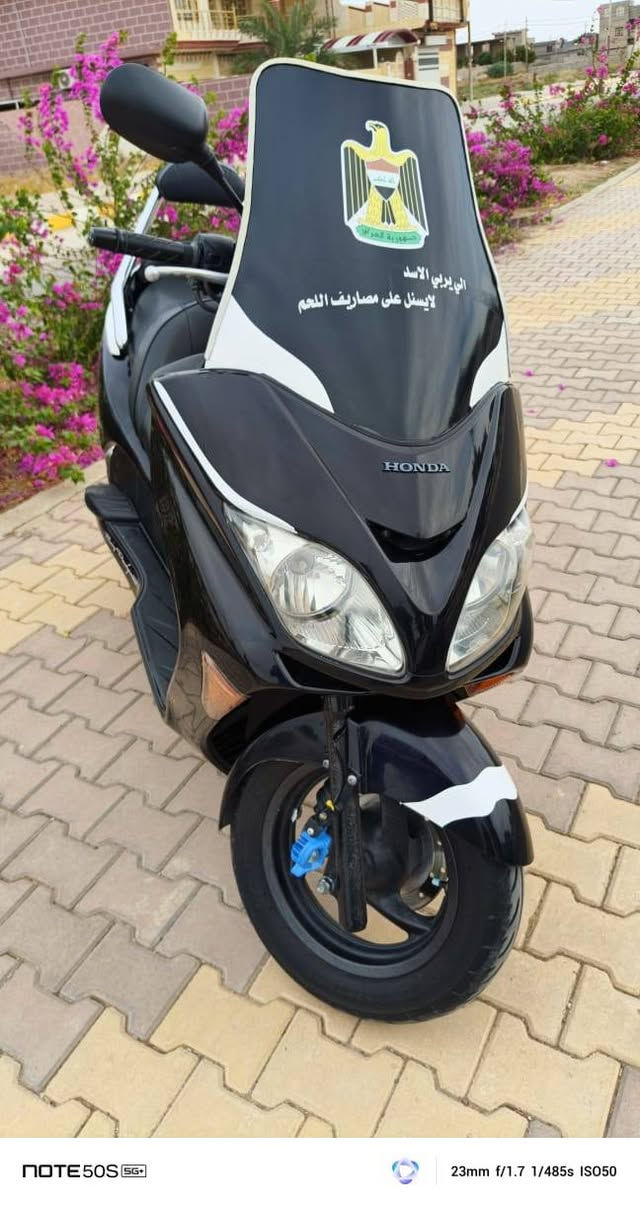 فورزة • فيديو • ديالى السعديه