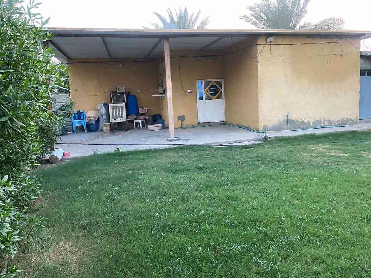 دونم • طابو زراعي • صخريجة