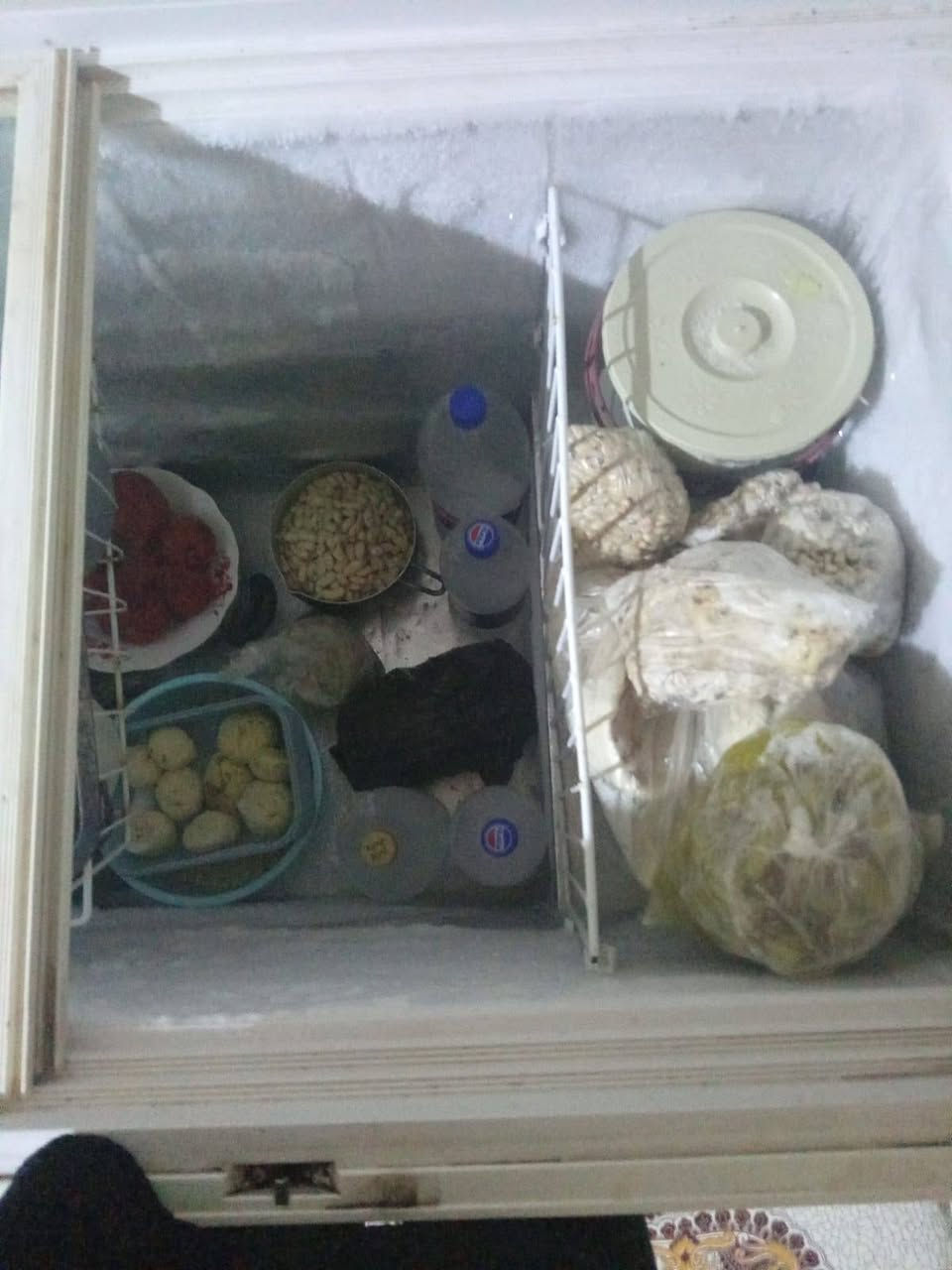 مجمده شرط تجميد وتبريد ماداخله تصليح سعره 200قفل عنوانه ابوصخير السكن توصيل موجود شراي يراسل خاص ورقم بي وتساب ***********
