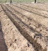 يوجد شقل سماد ودفان بصل شقل درجه وله رقمي 07839101593 نتصال
