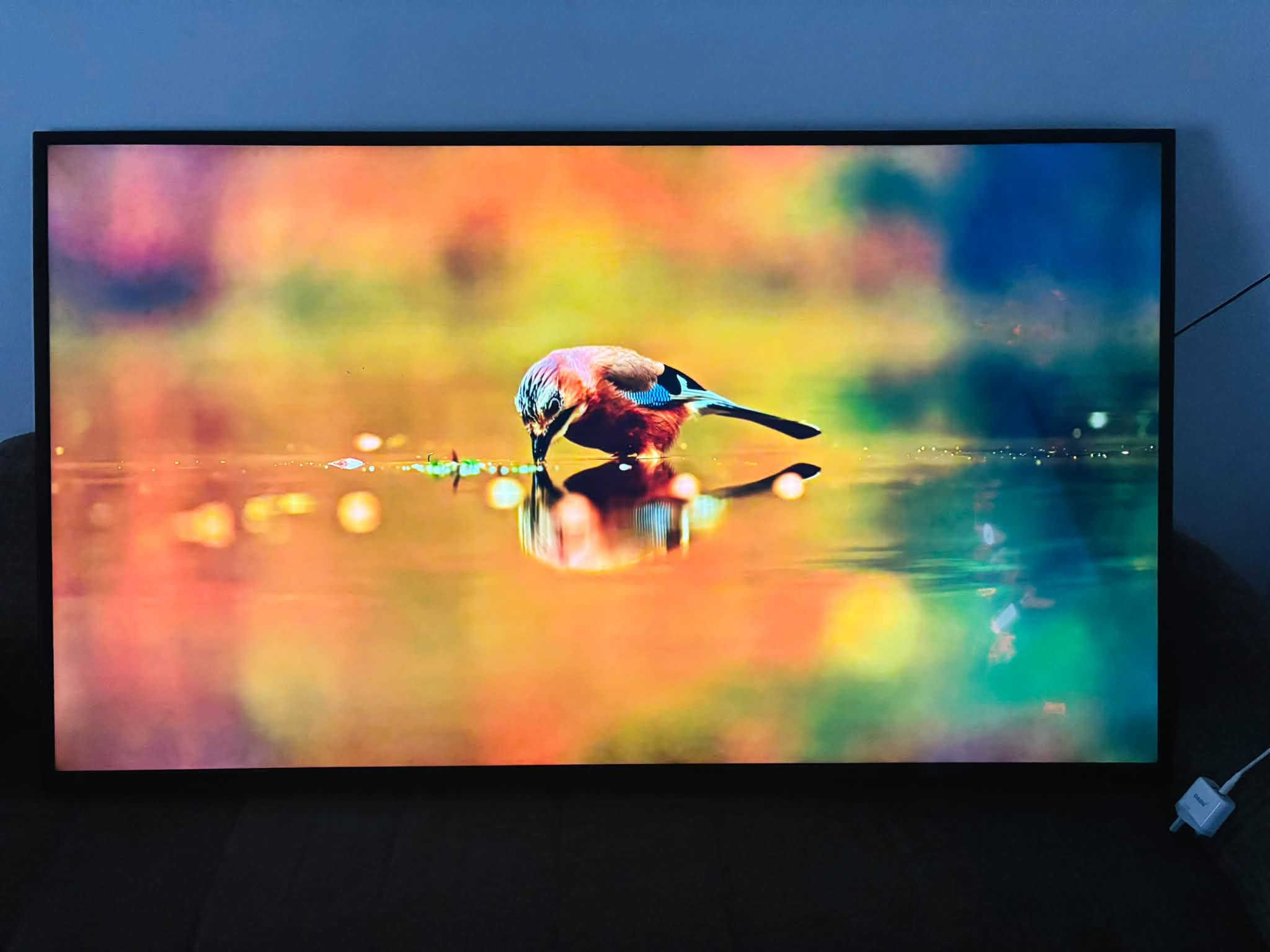 السلام عليكم بلازمه ماركه كينود حجم 65
فول مواصفات 4k انترنت كامل مواصفات اخر اصدار اندوريد

السعر 450 العنوان بغداد م الصدر 

***********

نص مكتوب في الصور:
- باجر كل خريف يموت ويهب بس ربيع حسين
- Tomorrow every autumn dies And only Hussein's spring will blow
- اوكفوله هله بكل صوب ولحد يلتهي بغيره
- Stand for him from every side And don't let anyone be distracted by anything else