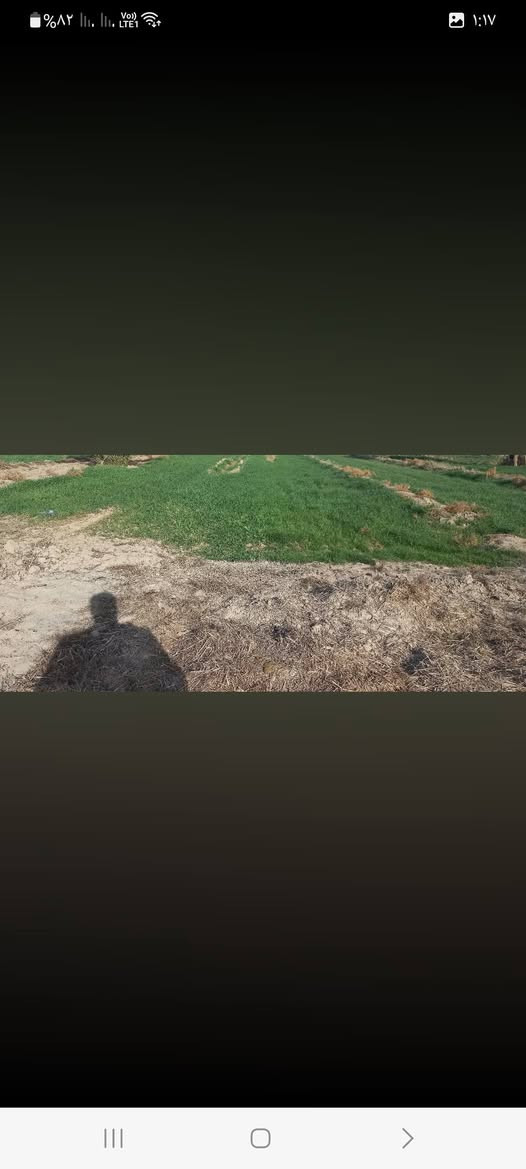 طابو زراعي • خلف الساده البعاج • ماء كهرباء