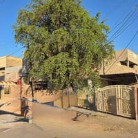 الحبيبيه كرزات • ١٥٠م • يصلح نصين