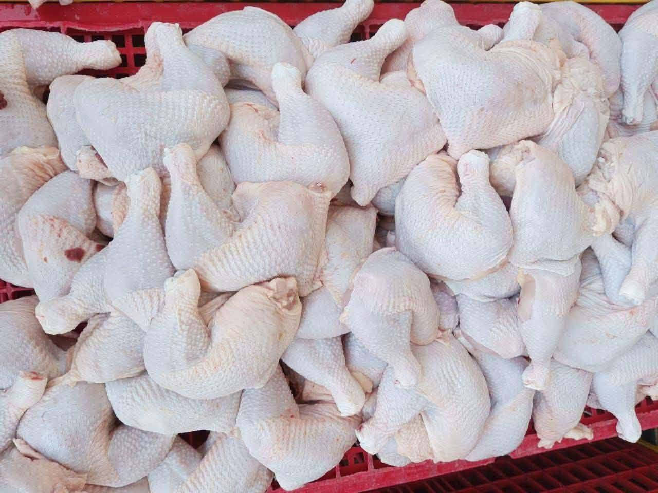 جمعتكم متكمل اله ويه علي المياحي  
سمك المسكوف والحي والدجاج  الطعم البغدادي الأصيل… يوصل لباب بيتك! 🏠🚗

🐟 سمك مسكوف — 7,500 د.ع
🐟 سمك حي طازج — 5,500 د.ع
🍗 دجاج حي طازج — 3,500 د.ع
🍗 صدر دجاج — 5,500 د.ع
🍗 أفخاذ طازة — 5,000 د.ع
🍗 أجنحة — 5,000 د.ع

━━━━━━━━━━━━━━

🚗💨 توصيل سريع داخل بسماية
💰 التوصيل 1,000 د.ع فقط

📞 للطلب والحجز:
***********
***********

✨ طازج • نظيف • سعر مناسب
🔥 علي المياحي — اطلب ودلل!

نص مكتوب في الصور:
- سمك حي سعر الكيلو 5500