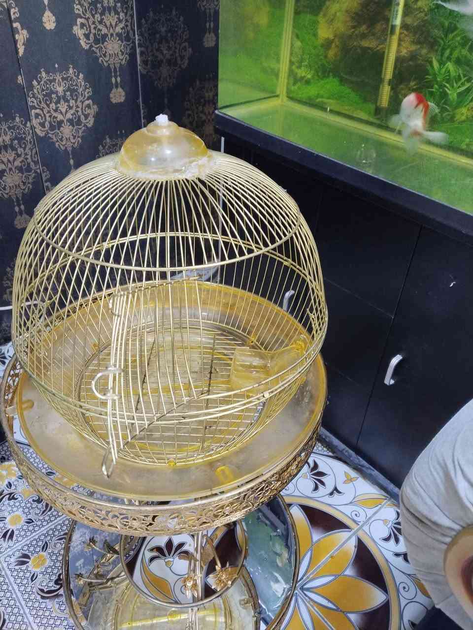 السلام عليكم
قفص ملكي للبيع سعر 25 الف 
ومرجوحه عش العصفور للبيع سعر 75 الف
بغداد الحسينيه الراشديه 
***********
