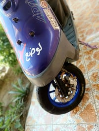 بطه • دبل خلفي • سده الهندية