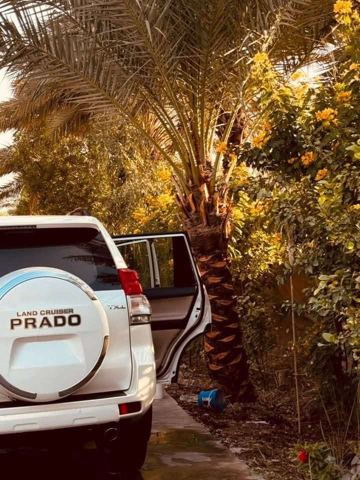 فول مواصفات • ٢٠١٢ • فتحة سقف