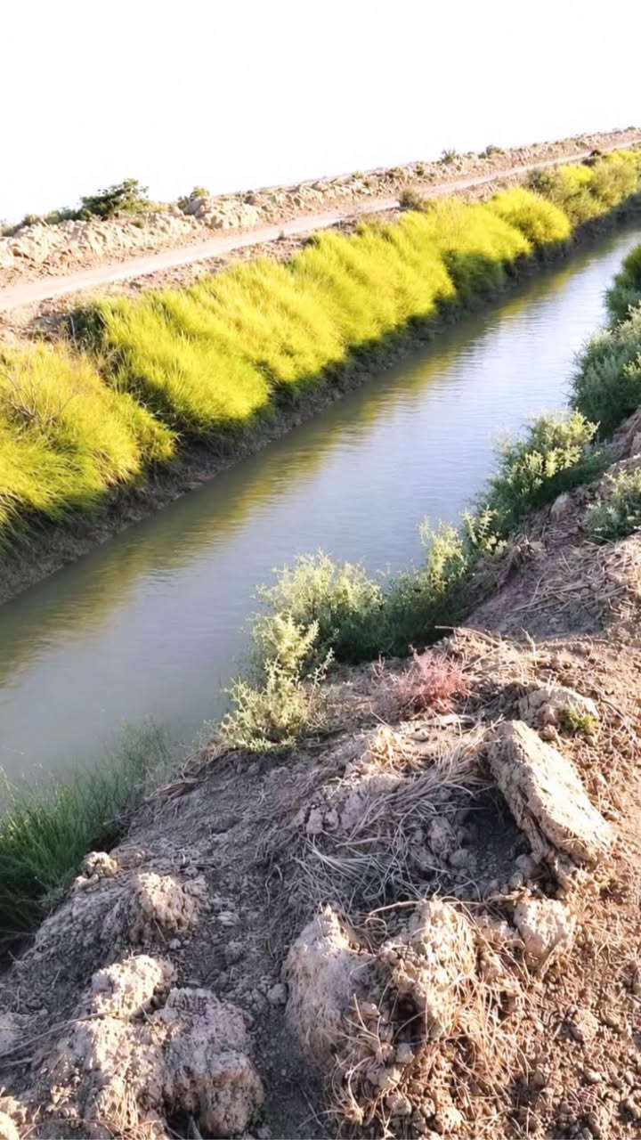 ارض زراعيه للبيع 
المساحه :٥٠دونم 
الموقع على نهر السويب 
رقم الهاتف ***********
