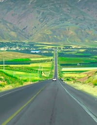 شارع كربلاء • سند ٢٥ • ١٠٠٠م
