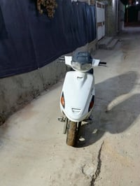 فراشه • فحل • تجفيت كامل