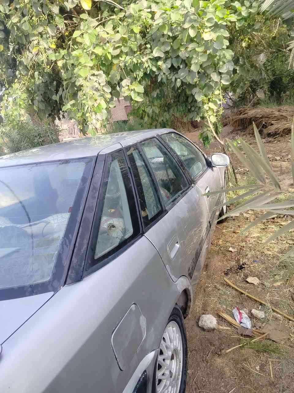 دايو اسبرو • كهرباء كامله • ابو صخير