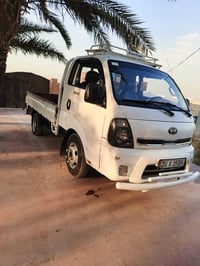 فحل • ٢٠١٥ • كفالة عامه