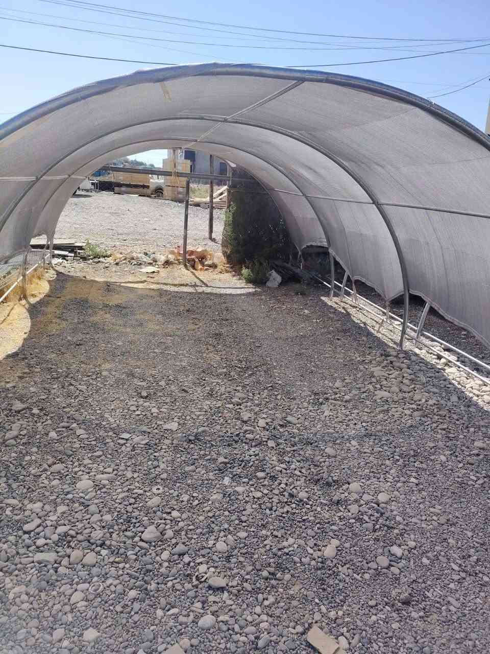 السلام عليكم اخوان تم وبعون الله وصول وجبه من البيوت البلاستيكية صغيره الحجم متعددة الاستخدامات حديد مغلون.  الطول 6 متر .العرض 4 متر. الارتفاع 2 متر
تستخدم للزراعه. تربيه الدواجن . للمواشي. للمخازن. للاستفسار***********/***********
العنوان . بابل محاويل ناحيه الامام الطريق السريع يوجد توصيل للكميات.
