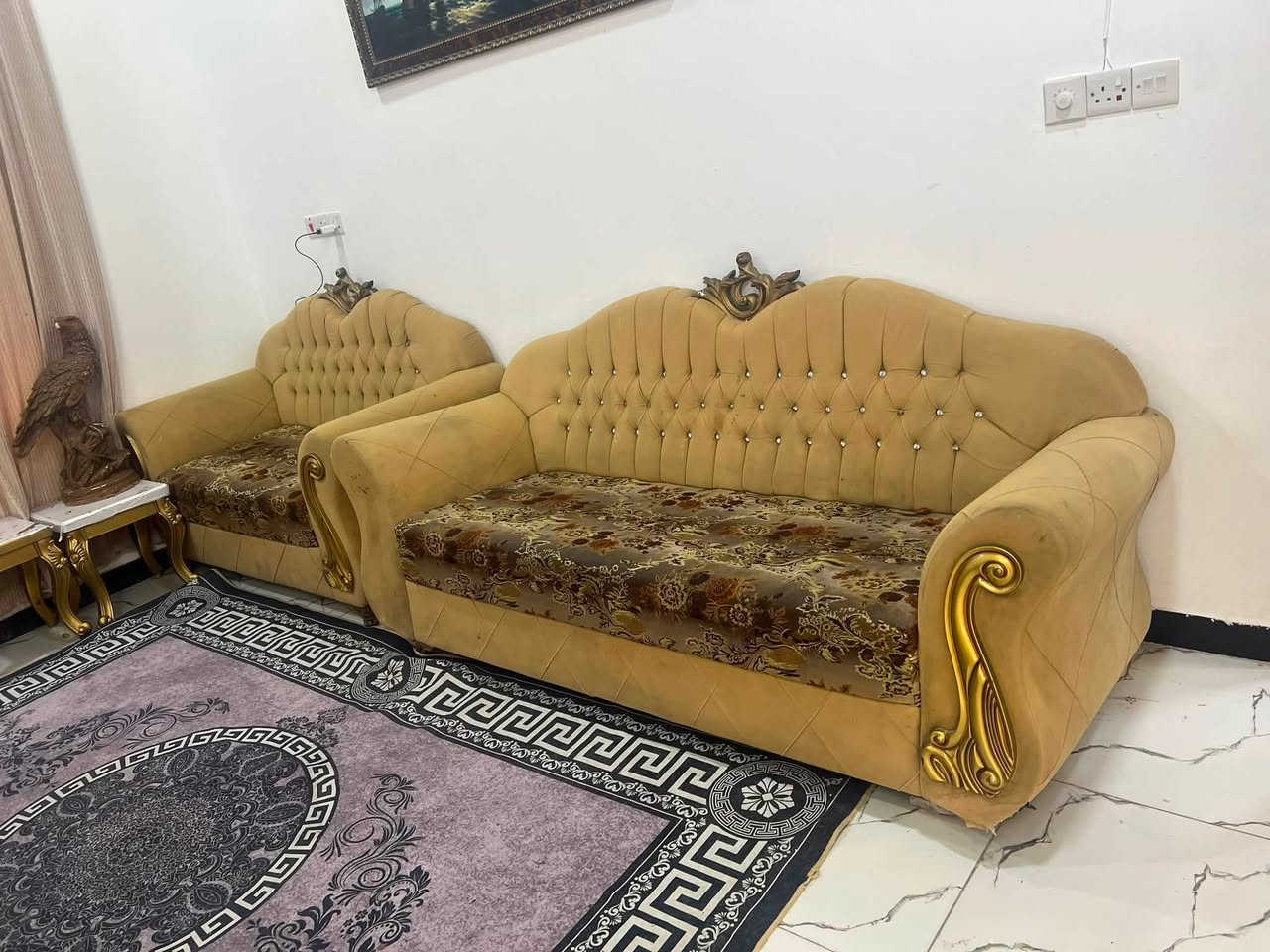 تخم قنفات سعر ١٧٥ مكان بصره شط العرب ***********

