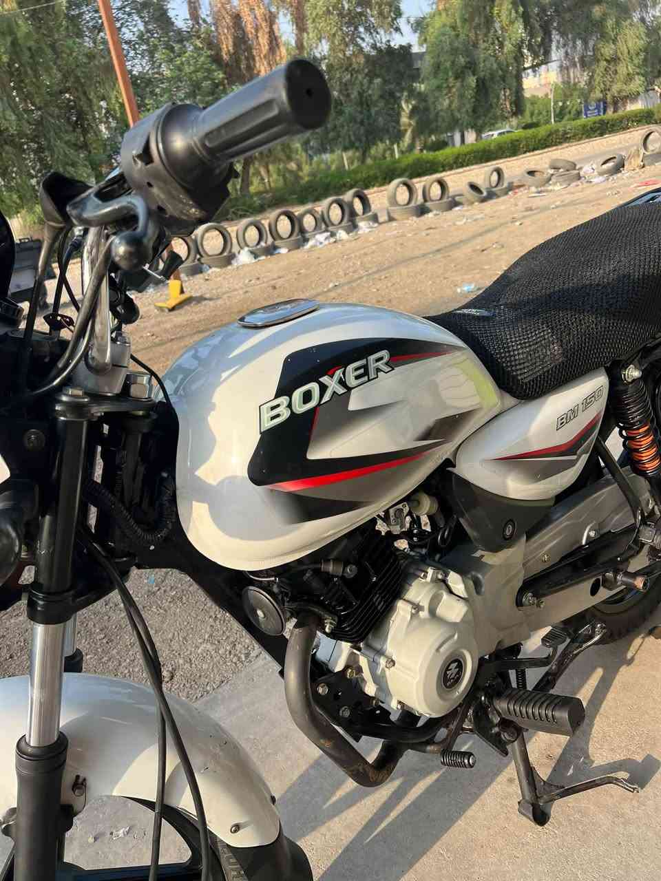 بوكسر كلاسك • زيرو • موديل 24